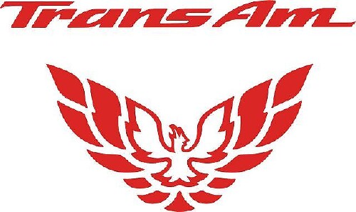 Trans Am Tail Light Filler Vinyl Decal for Pontiac Firebird 1998-2002