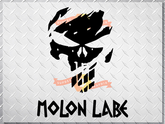 PUNISHER skull MOLON LABE US body side vinyl decal sticker jeep wrangler 1 decal