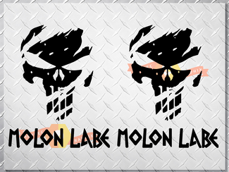 PUNISHER skull MOLON LABE US body side vinyl decal sticker jeep wrangler any car