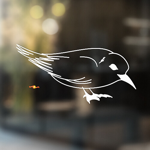 Common Starling Universal Vinyl Decal Sticker