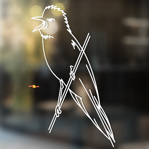 Steller's Jay Universal Vinyl Decal Sticker_1