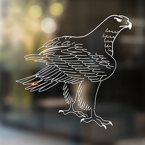 Eagle Universal Vinyl Decal Sticker