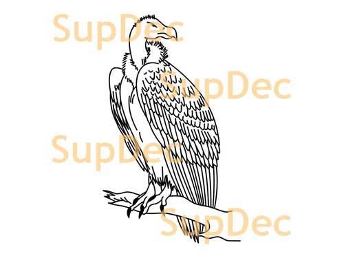 Eagle Vinyl Art Wall Window Bathroom Sticker Decal removable #2
