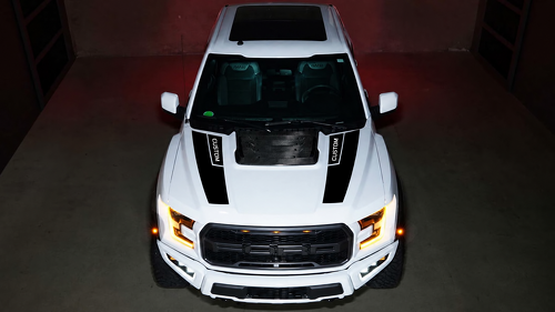 CUSTOM Rally Accent Pair Hood Vinyl Decal Sticker for Ford F-150 2016-2018