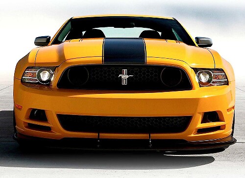 Racing Hood Stripe Vinyl Decal for Musclecar Mustang 2013-2014