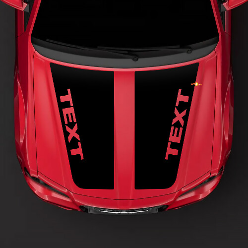 2005-2010 Chrysler 300C SRT-8 HEMI style hood Sticker Decal top blackout pre-cut
