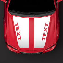 2005-2010 Chrysler 300C SRT-8 HEMI style hood Sticker Decal top blackout pre-cut
 2