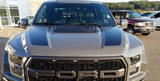2015 & Up Ford F150 Hood Spear Stripes