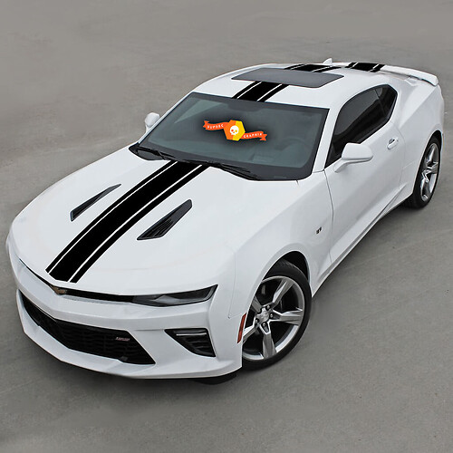 Chevrolet Camaro 2010-2020 Top Narrow Center Accent Stripes Sticker Decal
