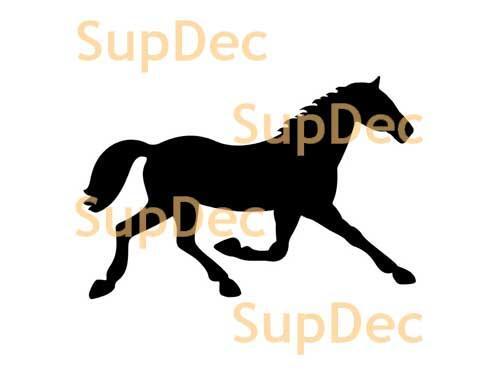 Horse Vinyl Art Wall  Window Bathroom Sticker Decal #3
