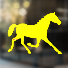 Horse Vinyl Art Wall  Window Bathroom Sticker Decal #3_3