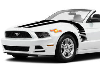 Ford Mustang 2013-2020 Hood To Side Double Stripes