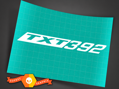 TXT 392 Custom Number Stripe Pair Side Vinyl Decal Sticker