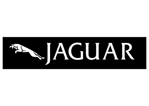 JAGUAR DECAL 2030 Autocollant en vinyle adhésif autocollant
