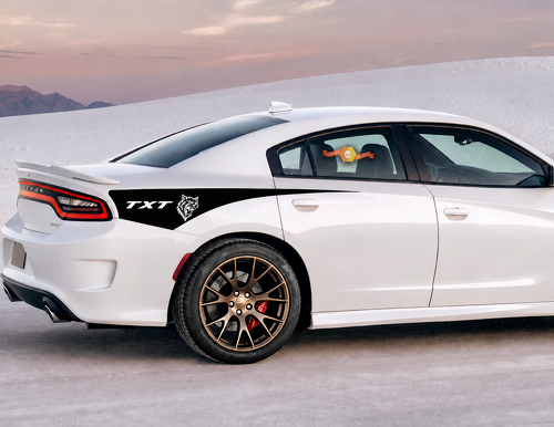 TXT Custom Cat Head Tapered Stripe Pair Rear Fender Vinyl Decal Sticker for Dodge Charger SRT, Hellcat 2011-2020