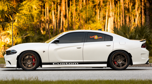 Custom Lower Twin Line Stripe Pair Side Rocker Panel Vinyl Decal Sticker for Dodge Charger 2011-2019