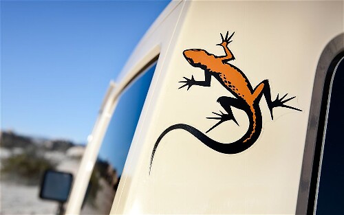 Mojave Gecko Vinyl Decal Set for Jeep Wrangler