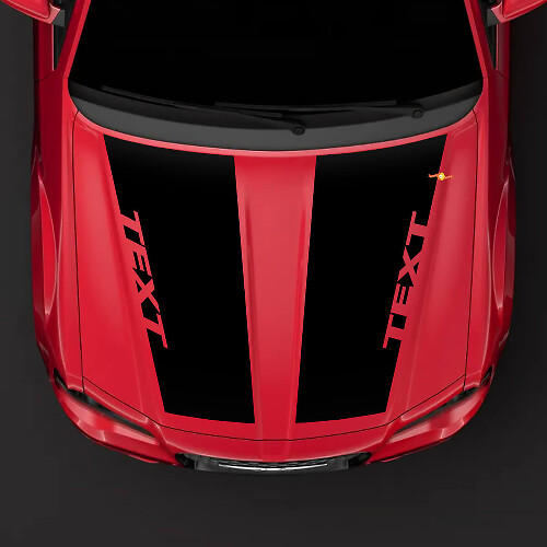 Double Custom Hood Stripes Vinyl Decal for Chrysler 300C 2014