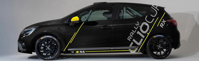 Article: Renault Decals Stickers